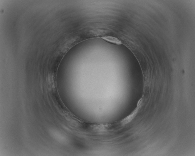 X0000073720182200608171213