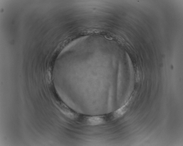 X0000073720183200608171213