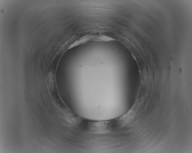 X0000073720184200608171213