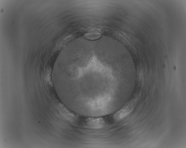 X0000073720185200608171213