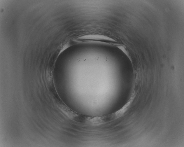 X0000073720186200608171213