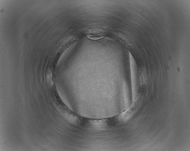 X0000073720187200608171213