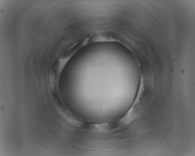 X0000073720188200608171213