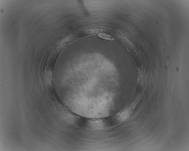 X0000073720189200608171213