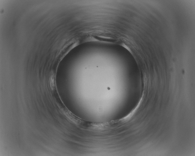 X0000073720190200608171213