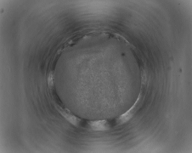 X0000073720191200608171213