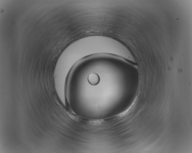 X0000073720192200608171213