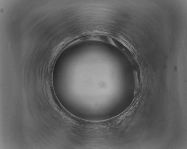 X0000073720193200608171212