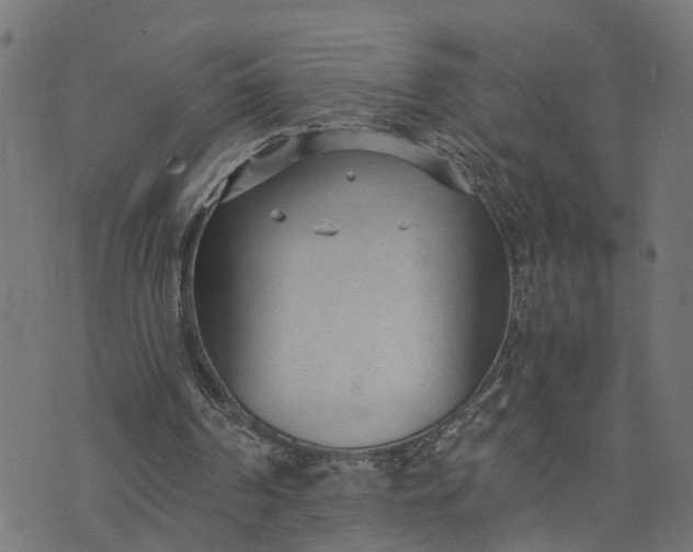 X0000073720194200608171212