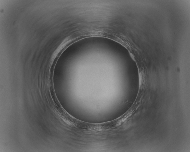 X0000073720195200608171212