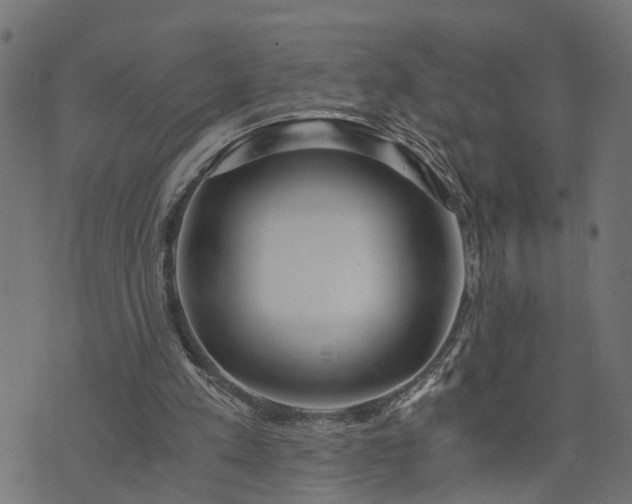 X0000073720197200608171212