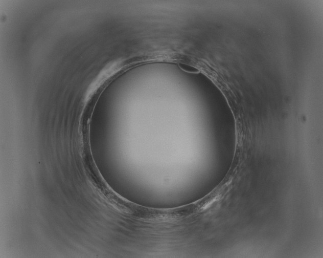 X0000073720198200608171212