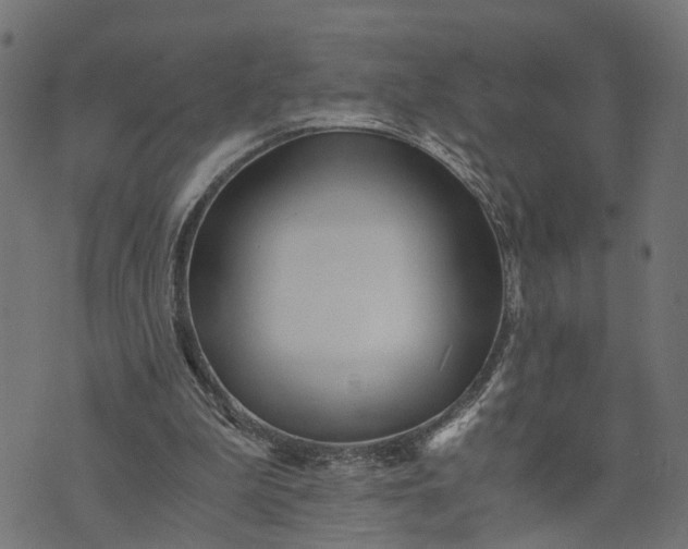 X0000073720199200608171212