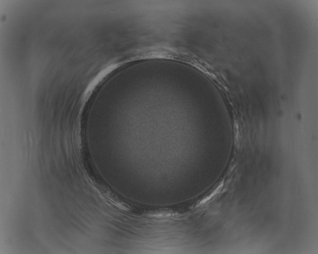 X0000073720200200608171212