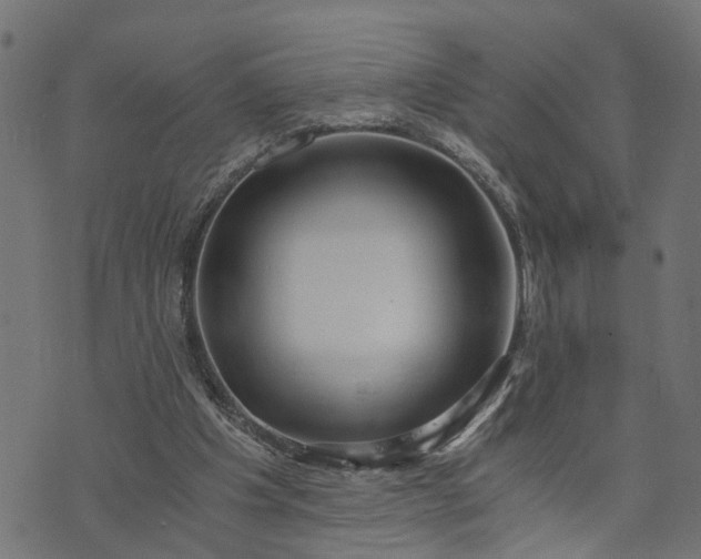 X0000073720201200608171212