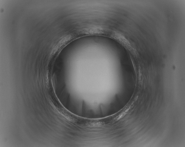 X0000073720202200608171212