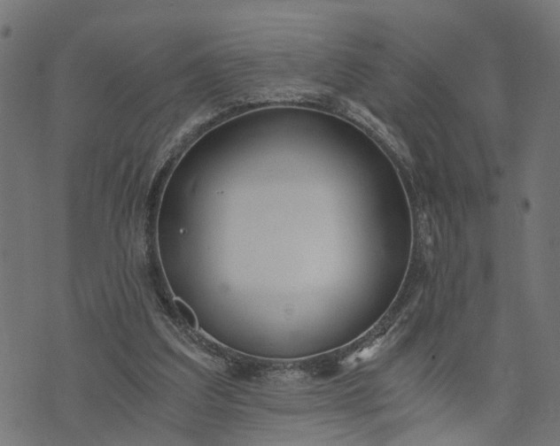 X0000073720203200608171212