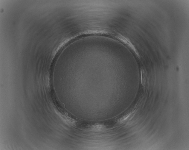 X0000073720204200608171212