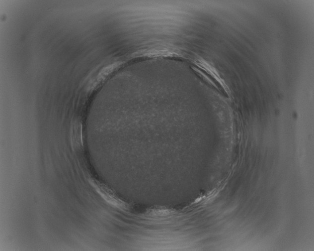 X0000073720205200608171212