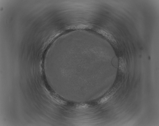 X0000073720206200608171212