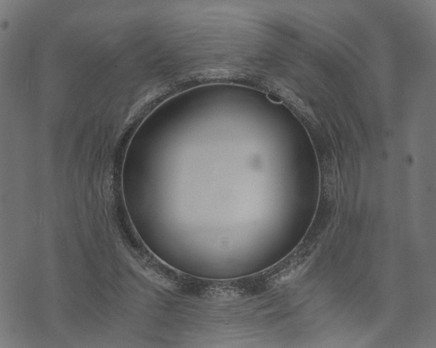 X0000073720207200608171212