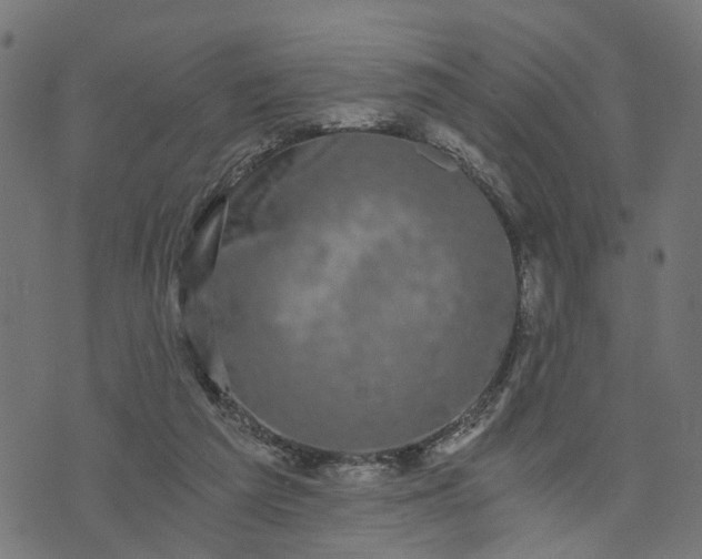 X0000073720209200608171212