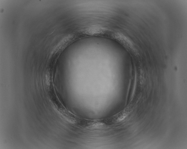 X0000073720210200608171212