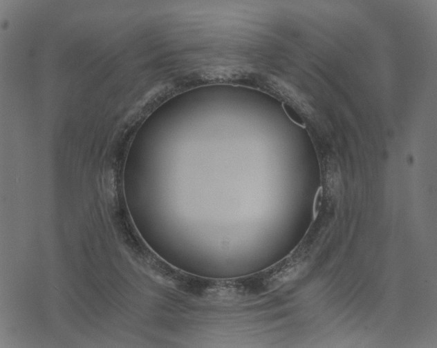 X0000073720211200608171212