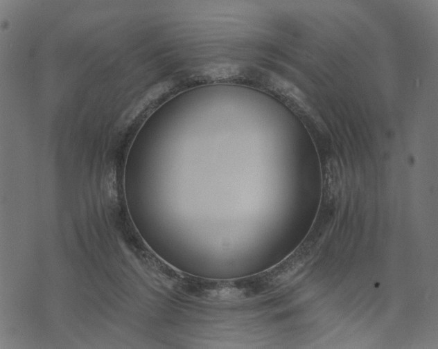 X0000073720212200608171212