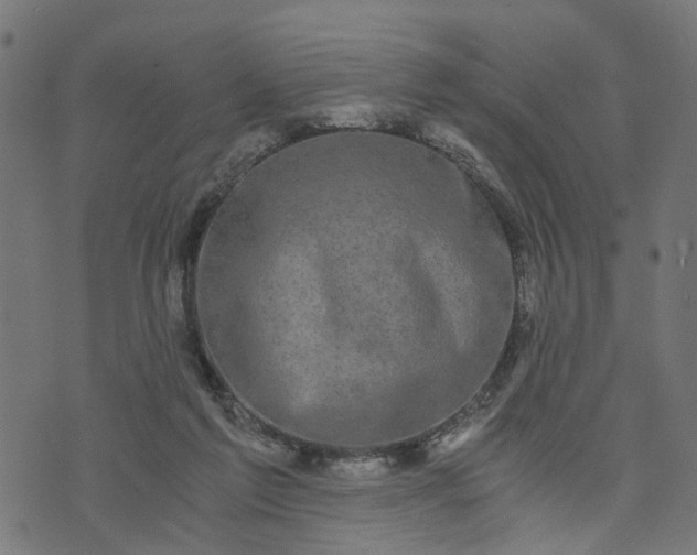 X0000073720213200608171212