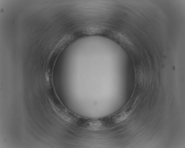 X0000073720214200608171212