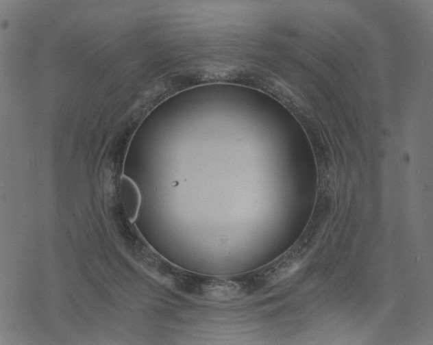 X0000073720215200608171212