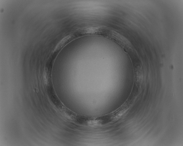 X0000073720216200608171212