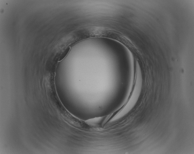 X0000073720217200608171212