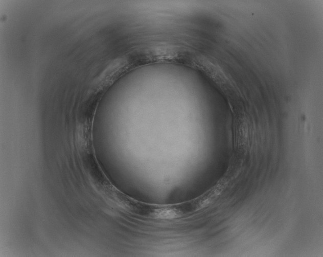 X0000073720218200608171212