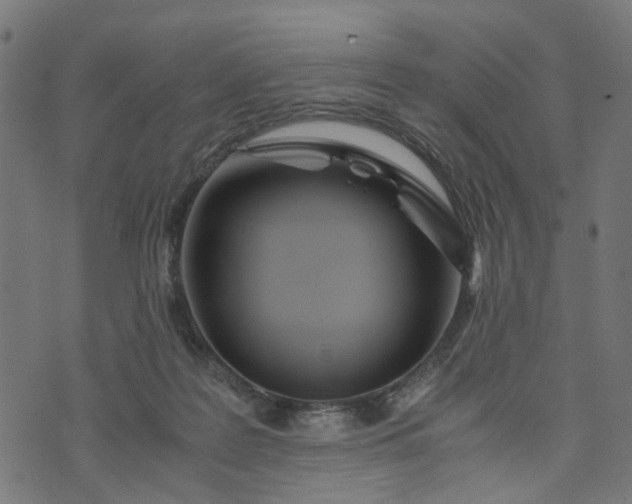 X0000073720219200608171212