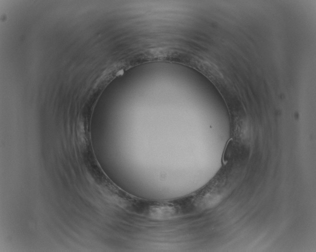 X0000073720220200608171212