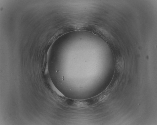 X0000073720221200608171212