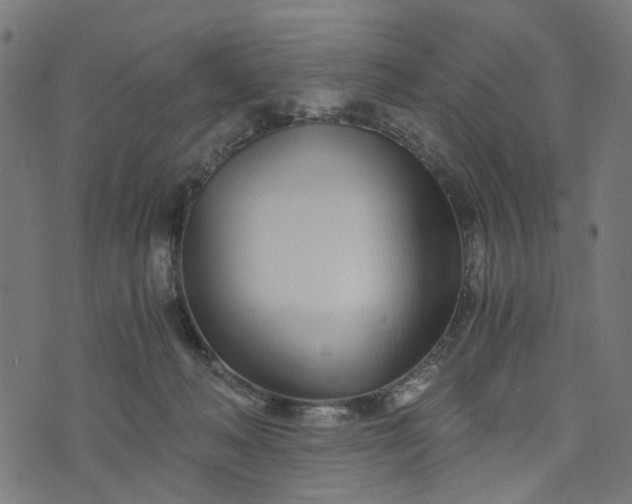 X0000073720222200608171212