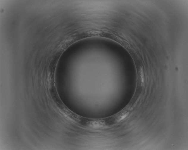 X0000073720223200608171211