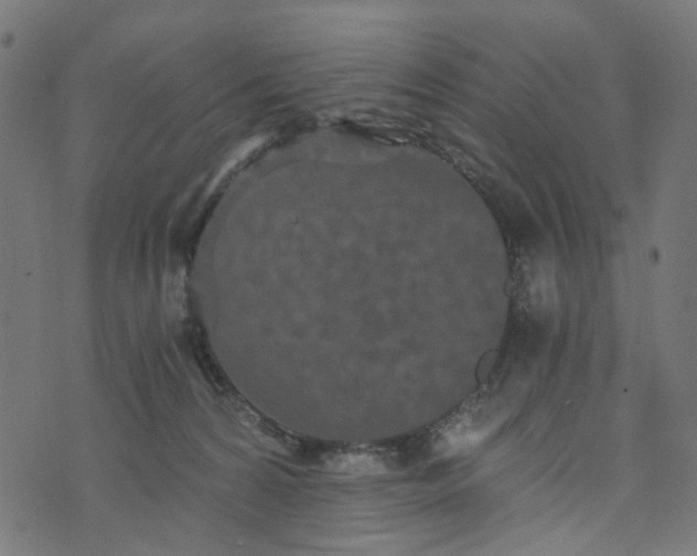 X0000073720224200608171211