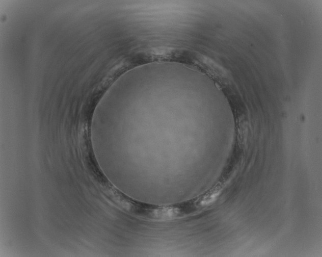 X0000073720225200608171211