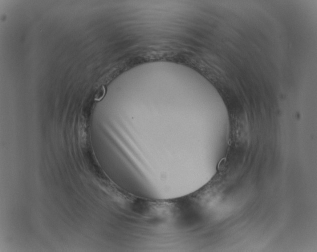 X0000073720226200608171211