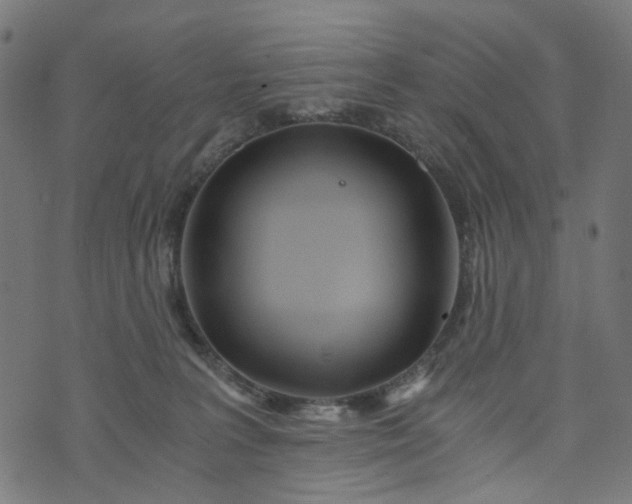 X0000073720227200608171211