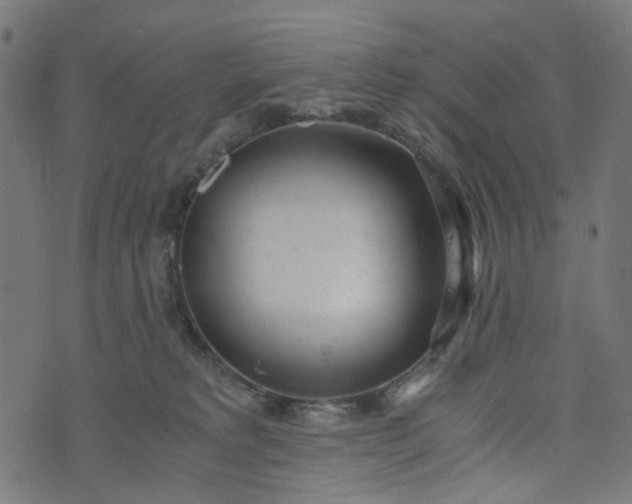 X0000073720229200608171211