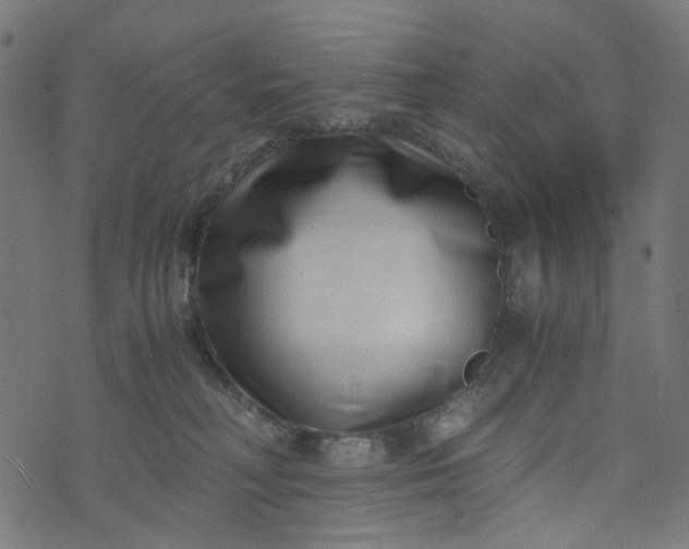 X0000073720230200608171211