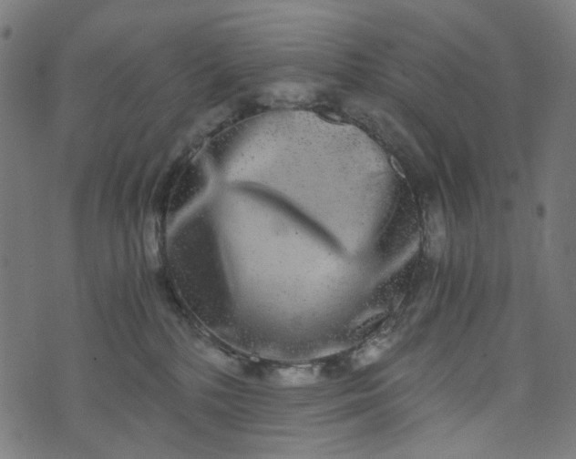 X0000073720232200608171211