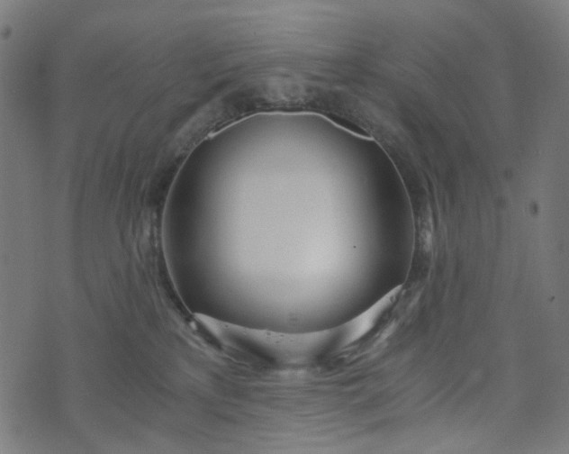 X0000073720233200608171211