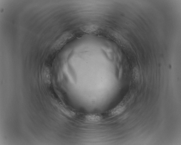 X0000073720234200608171211