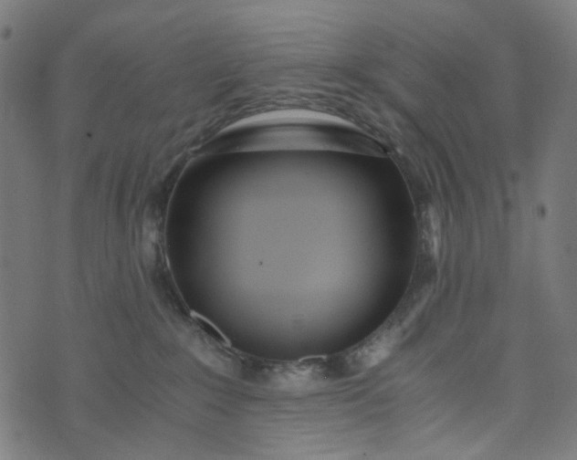 X0000073720235200608171211